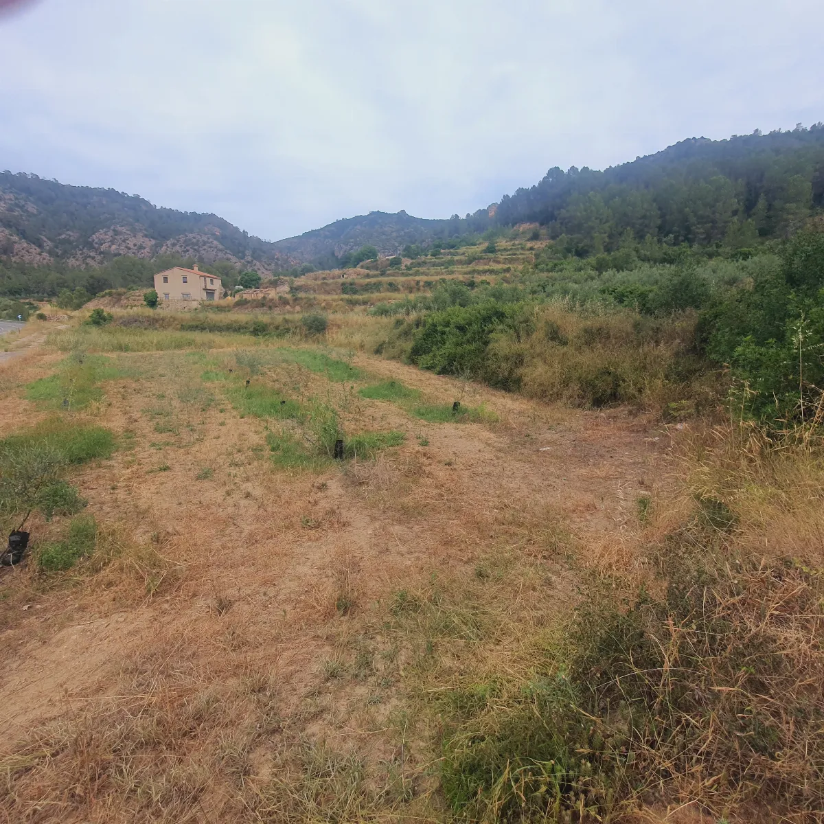 Suelo agrícola en venta en Benifallet