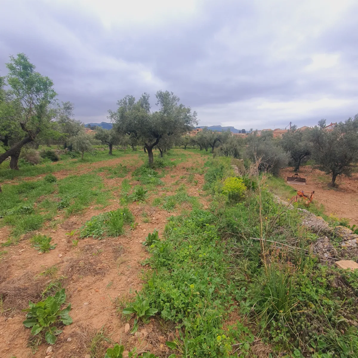 Suelo agrícola en venta en El Pinell de Brai